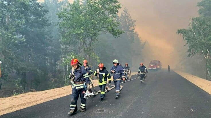 В Луганской области пожарные героически потушили масштабные лесные пожары (фото, видео)