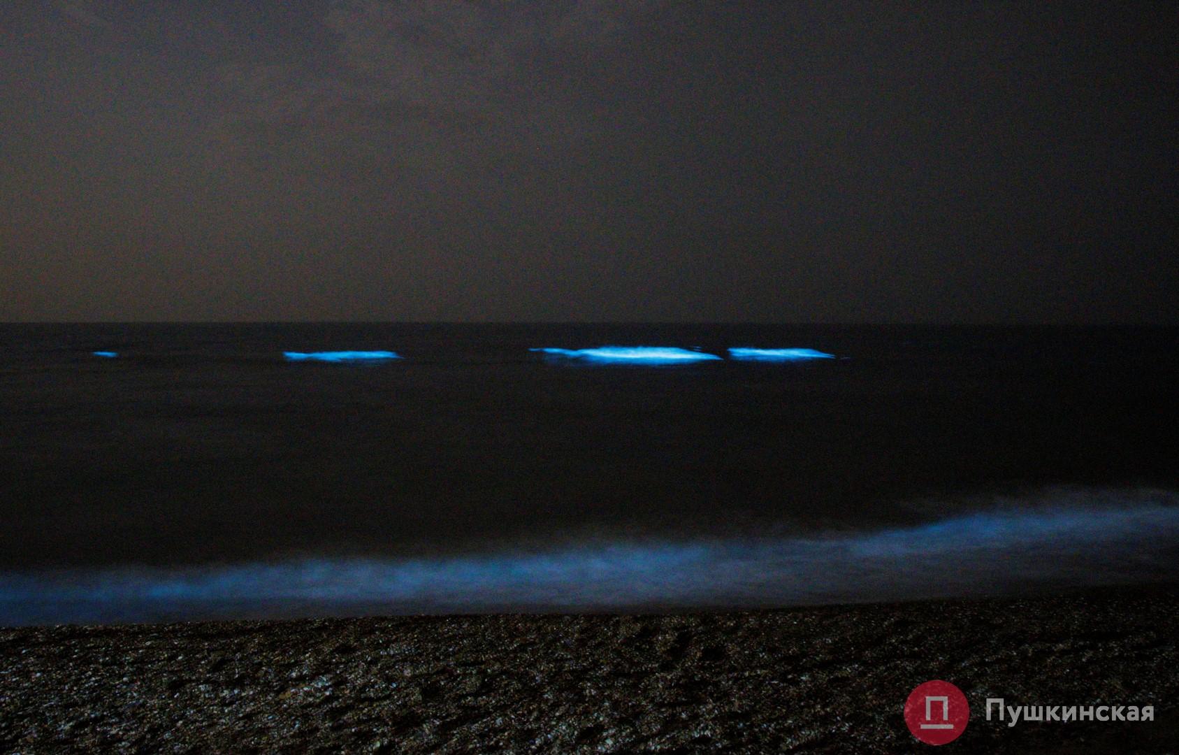 Море фосфорится ночью в Крыму