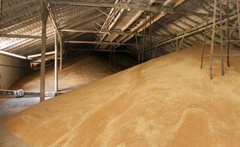 В Украине собрано более 45 млн тонн зерна