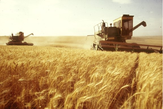 Украина сократила экспорт сельхозпродукции на 13%