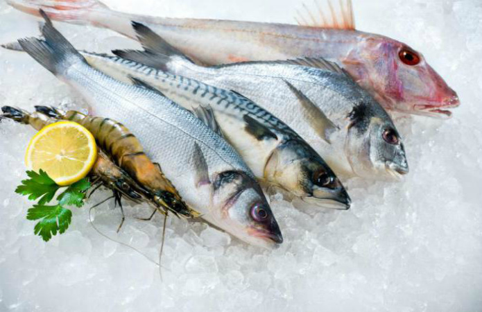 Экспорт рыбы из Украины вырос на 24%