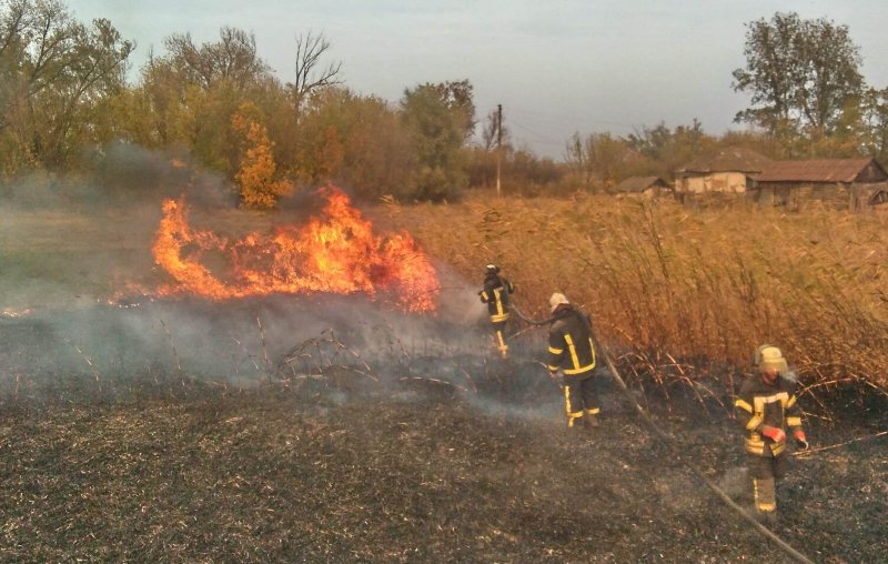 В Луганской области пожарные героически потушили масштабные лесные пожары (фото, видео)