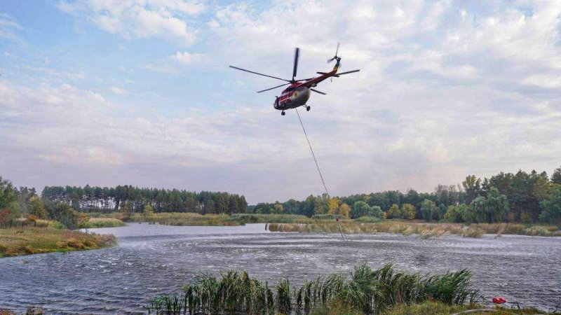 В Луганской области пожарные героически потушили масштабные лесные пожары (фото, видео)