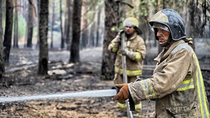В Луганской области пожарные героически потушили масштабные лесные пожары (фото, видео)