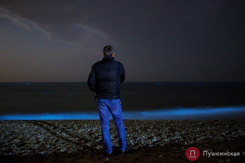 На курортах под Одессой море стало светиться ночью (фото)