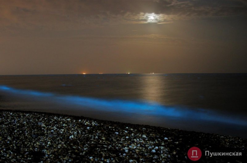 На курортах под Одессой море стало светиться ночью (фото)