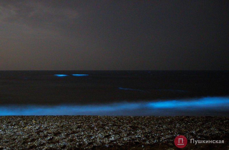 На курортах под Одессой море стало светиться ночью (фото)