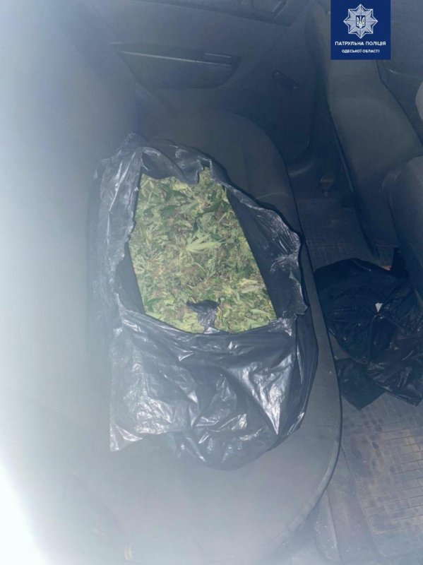 Свёрток в кроссовке: одесские патрульные обнаружили в машине около 15 килограммов наркотиков (фото)