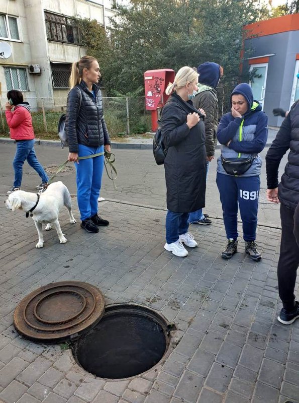 В Одессе сутки не могут достать щенков и трубы теплосетей