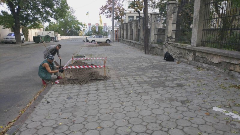 Осенняя посадка: на пяти центральных улицах Одессы появятся новые деревья (фото)