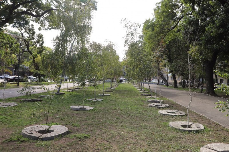 В Прохоровском сквере построят двухэтажный музей Холокоста (фото)