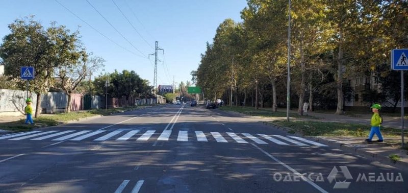 Внимание, на дорогах Одессы появился новый вид «пешеходов» (фото, видеокомментарий)