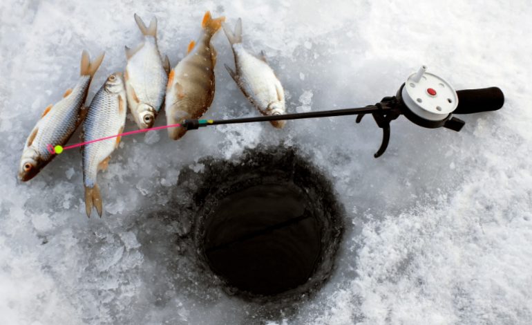 В Украине начал действовать запрет на вылов рыбы в зимовальных ямах
