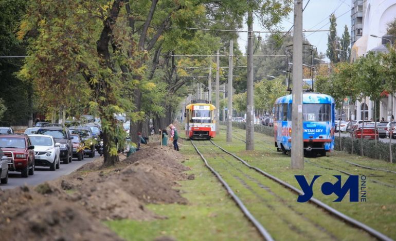 В Одессе на Фонтанской дороге высаживают «Зеленый тоннель» (фото)