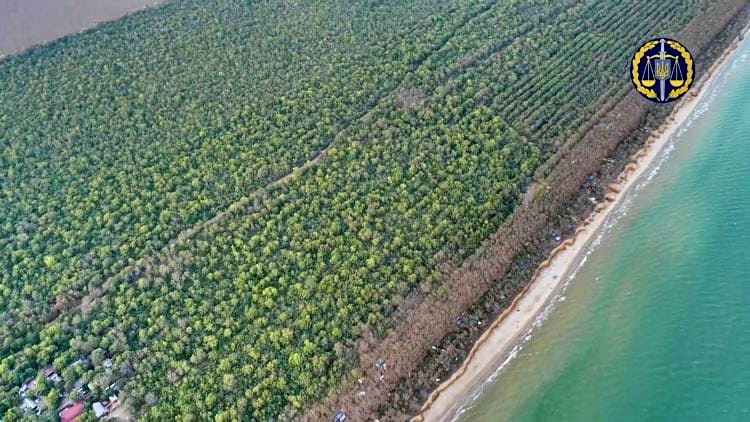 В Одесской области уникальный лес у моря захватил местный бизнесмен
