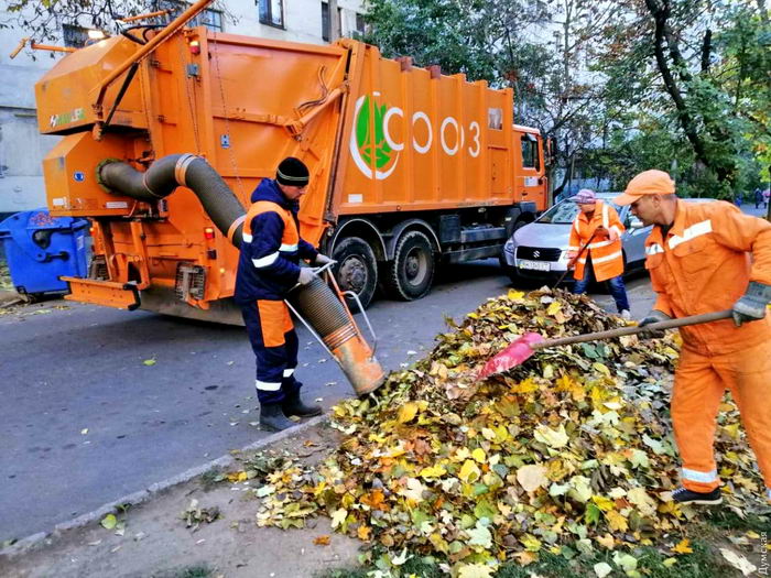 В Одессе упавшие листья убирают огромным пылесосом