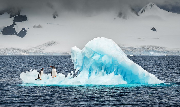 Одессит фотографировал Антарктиду 21 день (фото)