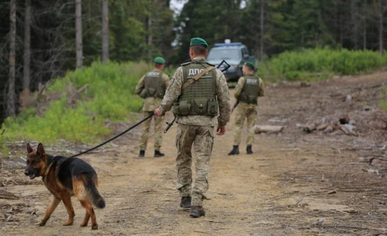 В Одесской области лиса напала на отряд пограничников