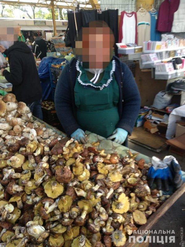Из-за массового отравления грибами в Одесской области полиция начала проверку точек их продажи