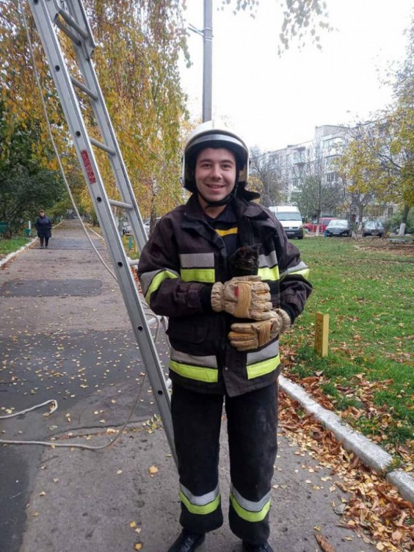 В Одесской области спасатели сняли котенка с верхушки дерева