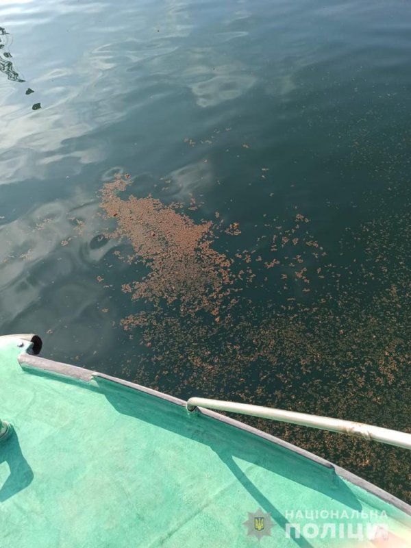 Судно «Аметист»: полиция расследует факт загрязнения моря нефтепродуктами (фото)