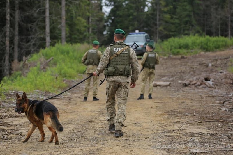 На одесских пограничников напал хищник: зверя убили (фото)