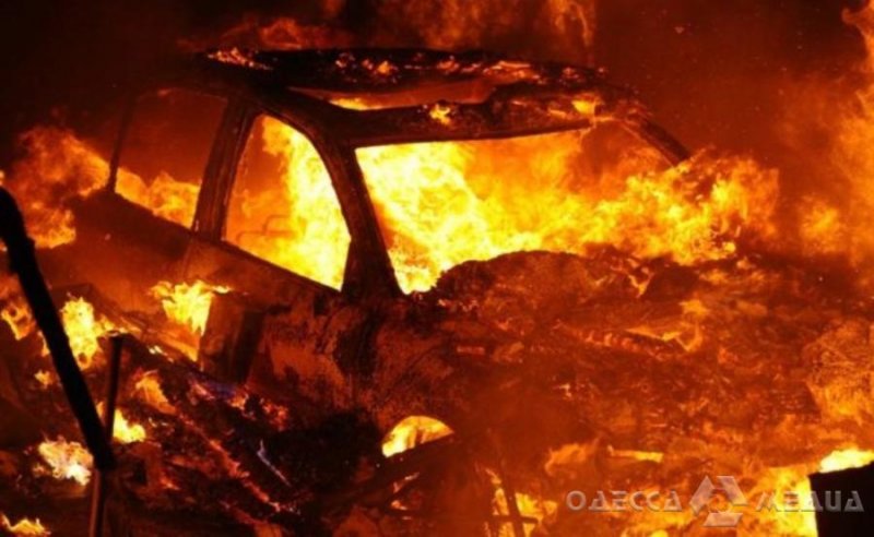 В Одесской области легковой автомобиль врезался в дерево и загорелся (фото)