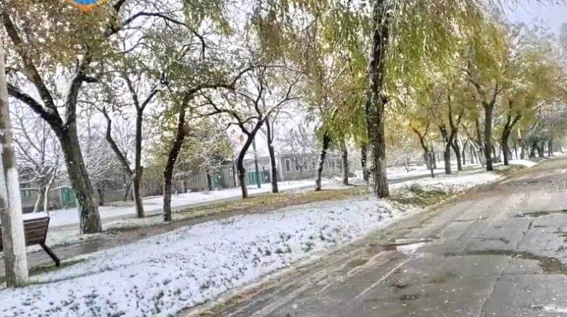 В Одесской области выпал первый снег (фото)