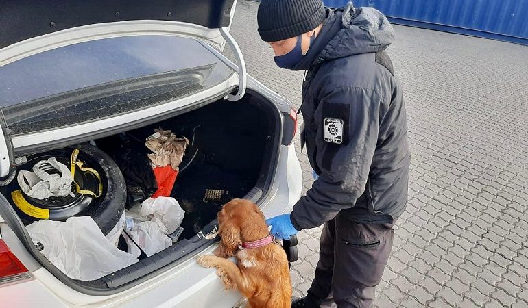 В Одесском порту собака пограничников нашла патроны