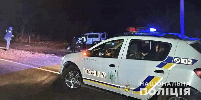 В Одесской области автомобиль сбил лошадь – водитель и животное погибли