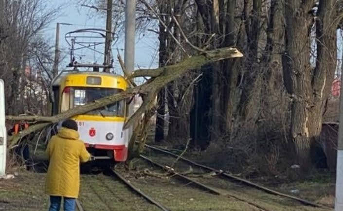 В Одессе два дерева упали на трамваи