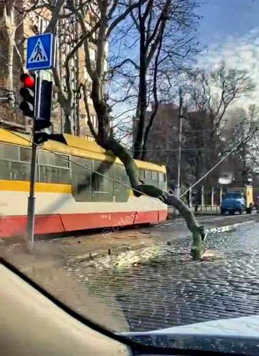 В Одессе два дерева упали на трамваи