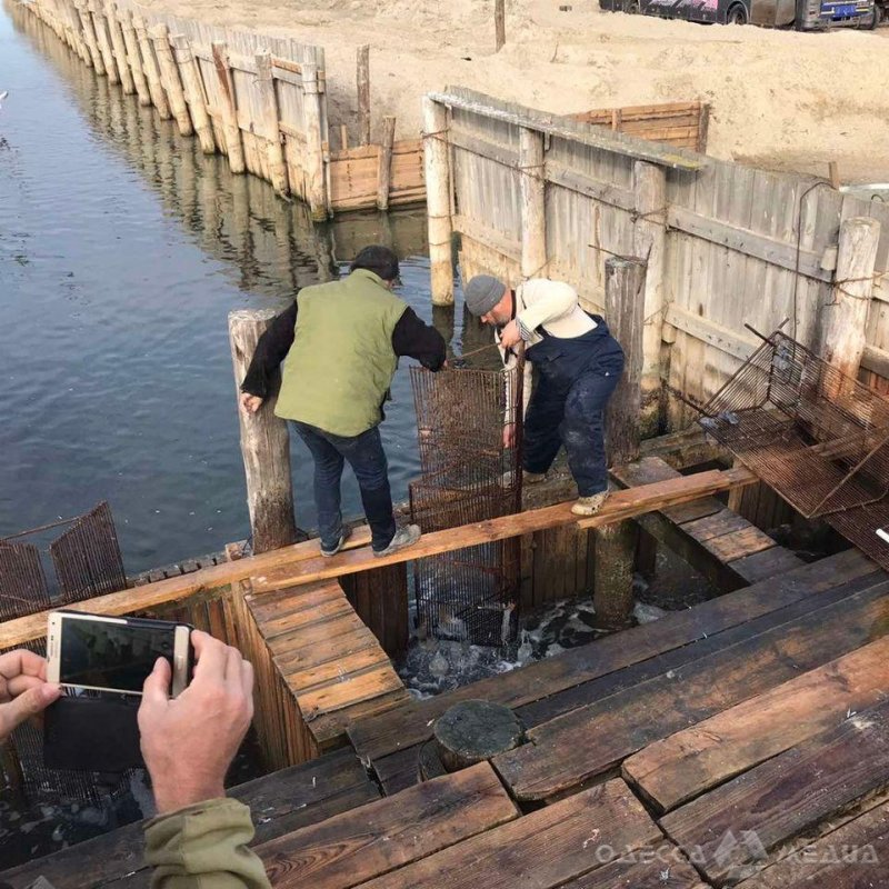 В Одесской области проверят факт масштабного браконьерства (фото)