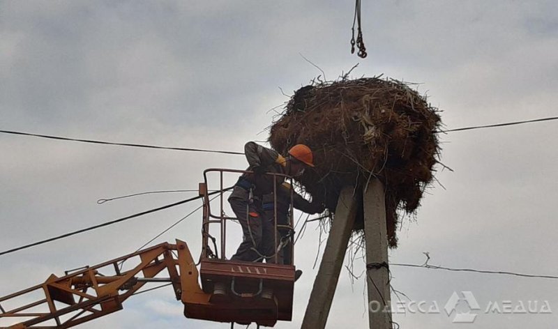 Для гнезд аистов в Одесской области установили 26 платформ (фото)