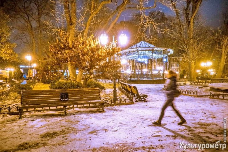 Красивая Одесса под первым снегом (фото)