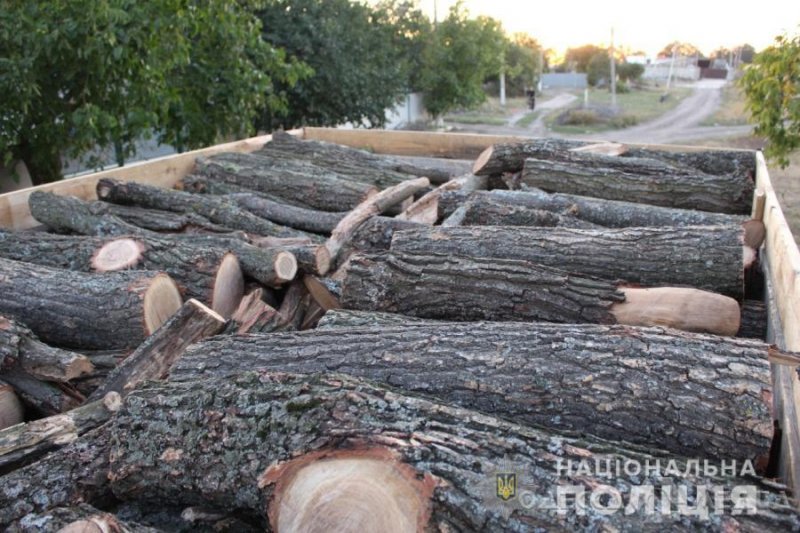 Житель Одесской области нарубил дров на тюремный срок (фото)