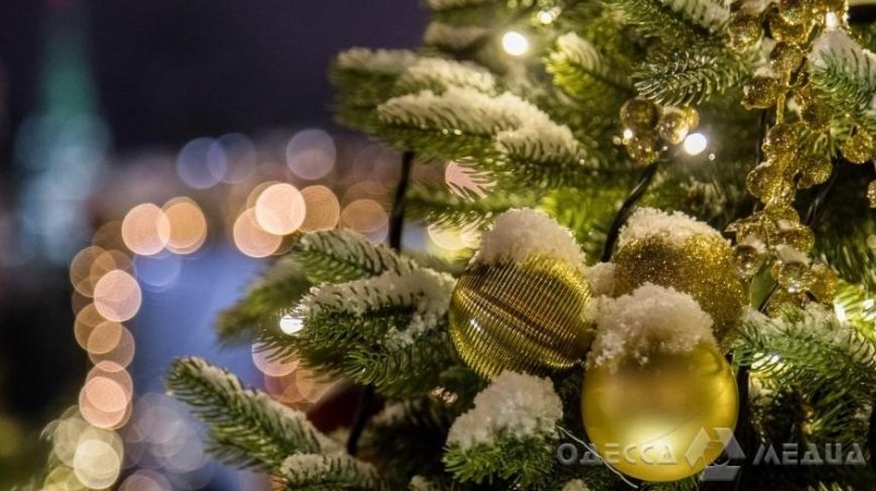 Свято наближається: на Думской в Одессе монтируют главную елку (фото)