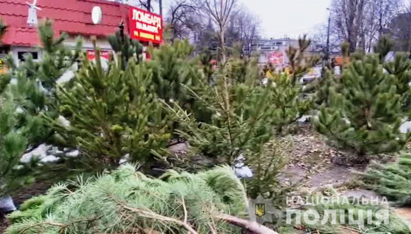 Одесские полицейские проводят проверку на елочных базарах (фото, видео)