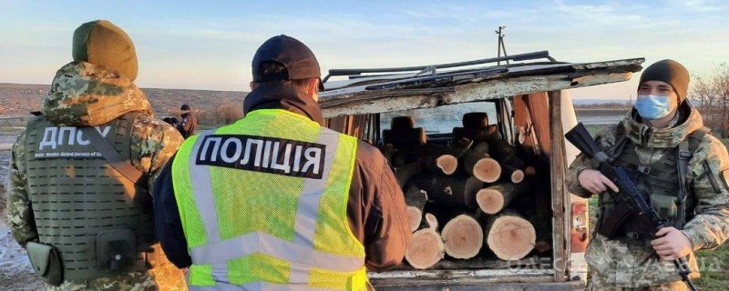 «Черные» лесорубы попались пограничникам в Одесской области (фото)