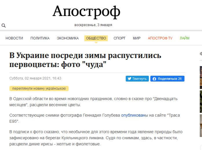 Одесские сайты распространяют фейк о цветущих склонах Куяльника посреди зимы