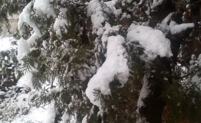 Жителей Арциза зимней графикой порадовал первый снег (фото)