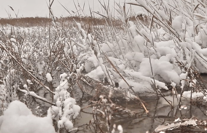 Как выглядят лиманы Одесской области под снегом и льдом (видео)