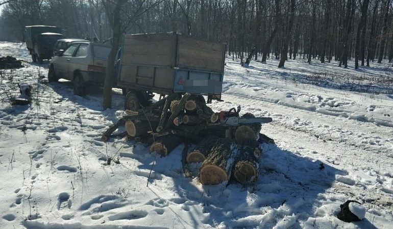 В погранзоне под Белгород-Днестровским сгорела машина черных лесорубов