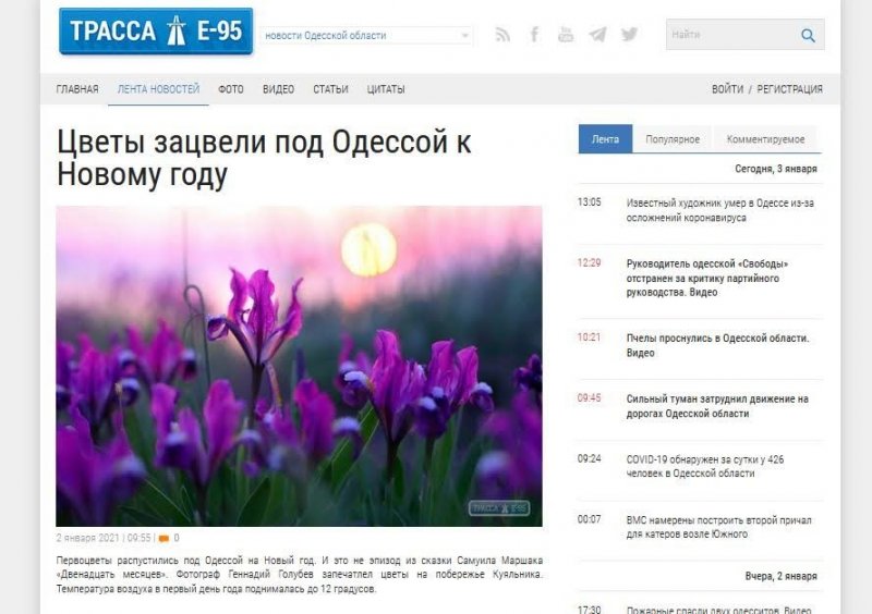 Одесские сайты распространяют фейк о цветущих склонах Куяльника посреди зимы
