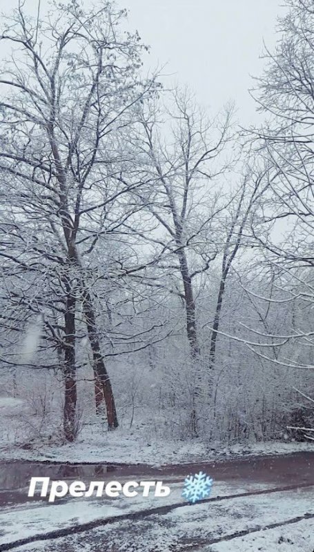 В Одесской области внезапно выпал снег (фото)