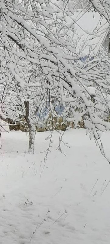 В Одесской области внезапно выпал снег (фото)