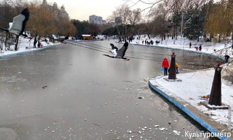 В парке Победы замерз пруд – под лед провалился мужчина (фото)