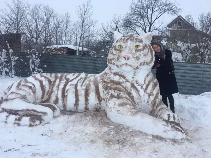 Под Одессой из снега слепили пятиметрового тигра (фото)