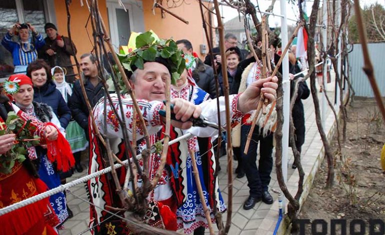 В Болграде готовятся к проведению фестиваля «Трифон Зарезан»