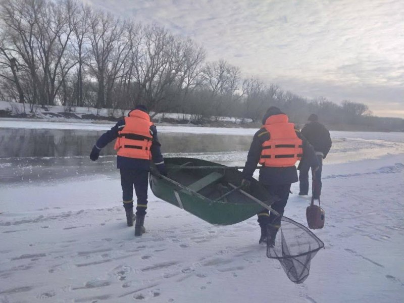 Спасатели освободили из ледяной ловушки лебедя в Одесской области (фото)